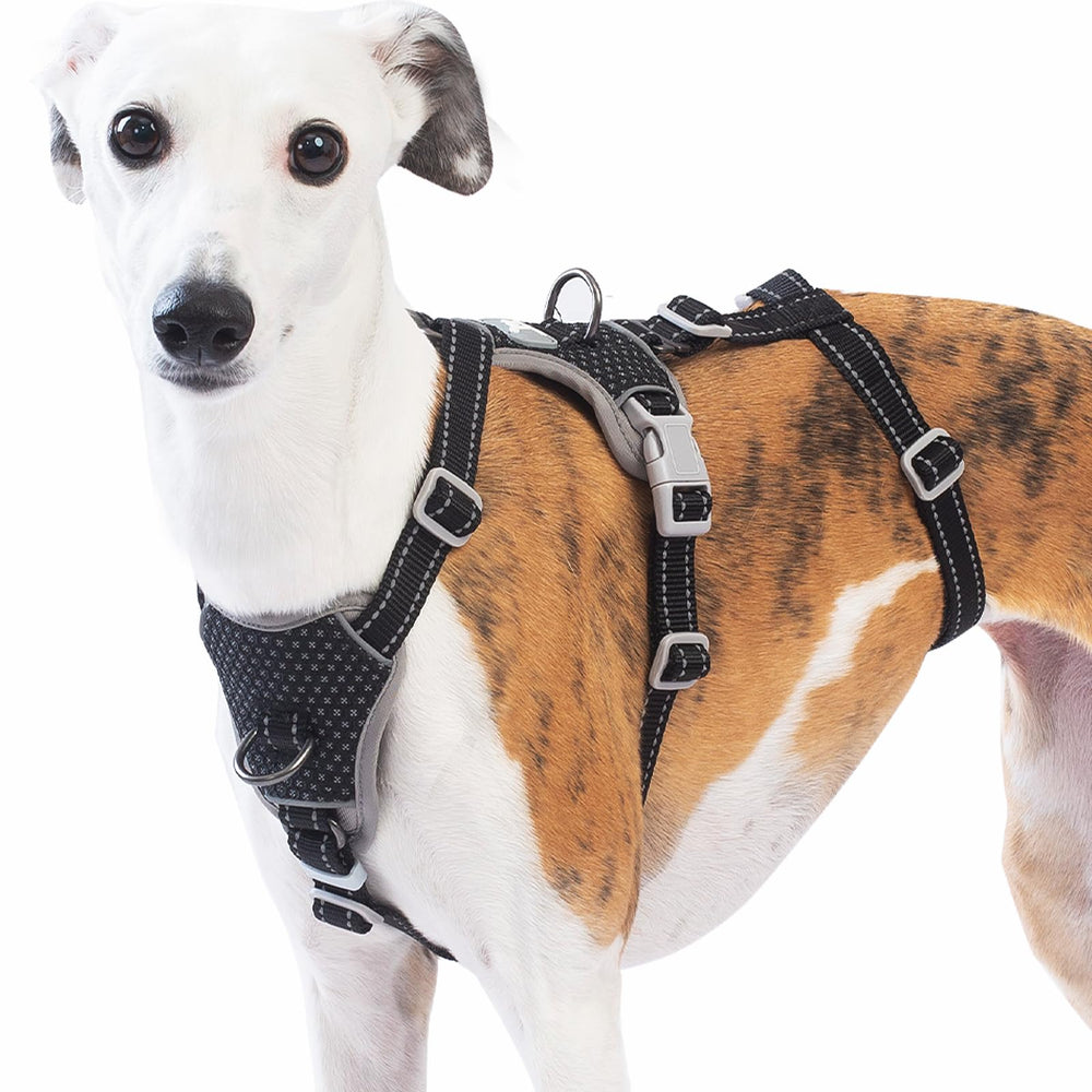 Arnés Huntboo anti-tiro frontal para control seguro durante paseos.