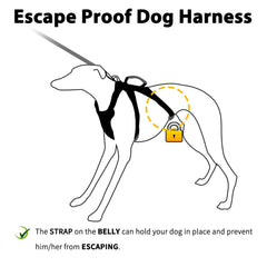 Huntboo arnés para perro reflectivo total para mayor visibilidad nocturna