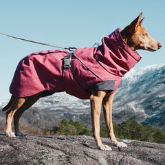 Hurtta Expedition Parka color remolacha vista trasera para libertad de movimiento.
