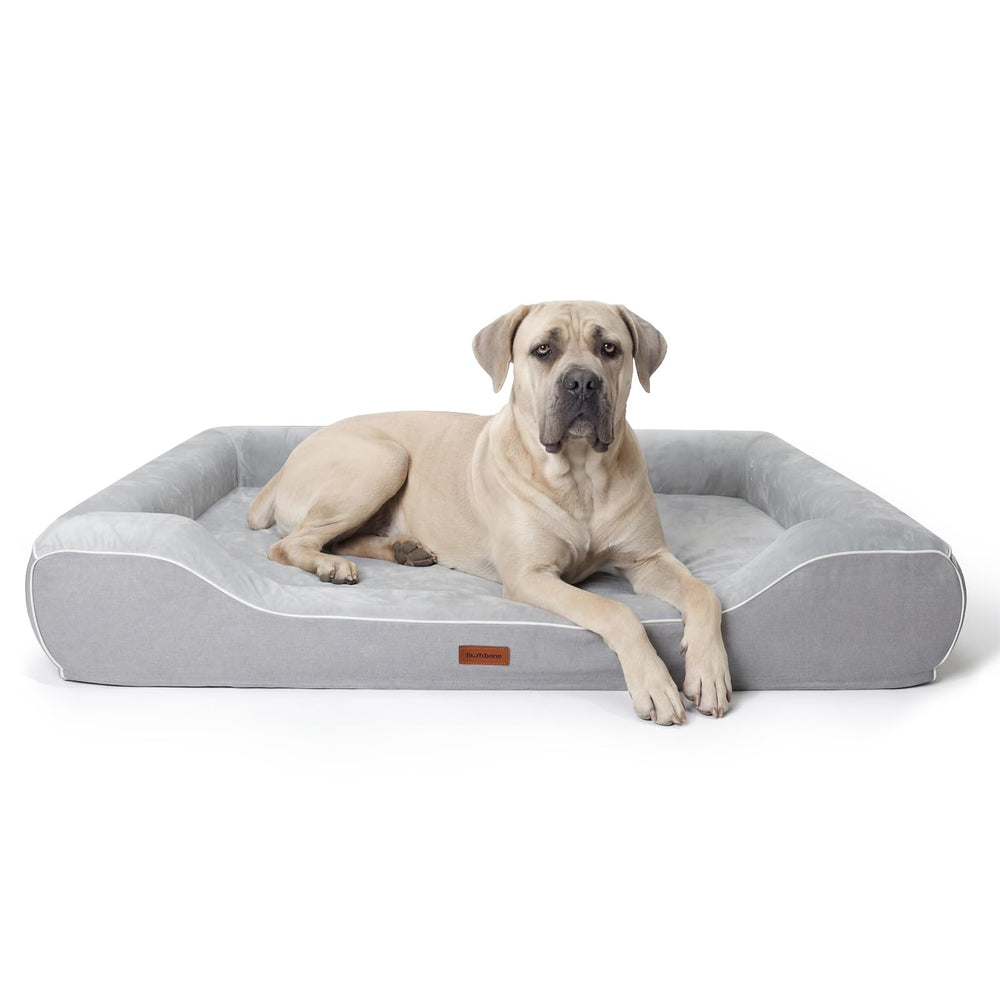 Cama ortopédica hush-bone XXL para perros grandes, con soporte estable para articulaciones.