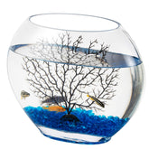 Hygger mini pecera oblate con decoracion azul, perfecto para observar peces en casa.