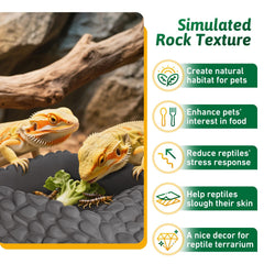 Tazón de agua Hygger Zoo con rampa antideslizante para reptiles.