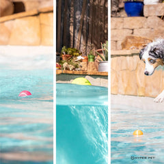 Hyper Pet mini tenis para perros; juego interactivo y entrenamiento supervisado.