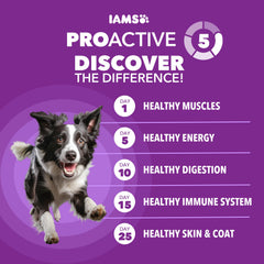 IAMS Advanced Health, prebióticos: apoya salud digestiva con fibra natural.