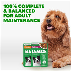 IAMS Proactive Health Adult Wet Dog Food servido en tazón, sabor atractivo para la hora de comer.