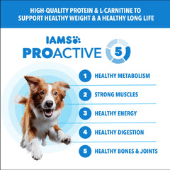 IAMS Proactive Health croquetas para perros adultos en tazón para nutrición diaria