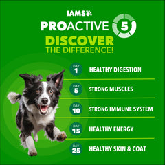 IAMS Proactive Health: pollo real como ingrediente principal para palatabilidad