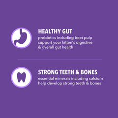 IAMS Proactive Health Gatito Digestión: fibra y prebióticos para digestión