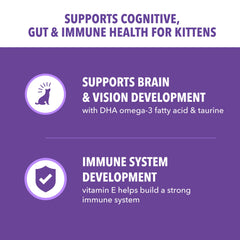 IAMS Proactive Health gatito, enfoque en energía para días activos