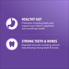 IAMS Proactive Health Gatito, fibra prebiótica y pulpa de remolacha para digestión suave.