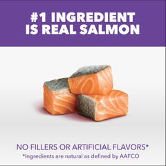 IAMS Proactive Health Gatito Salmón croquetas: sabor natural para gatitos activos.