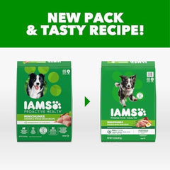 IAMS Proactive Health Minichunks, croquetas crujientes para perros adultos con sabor pollo
