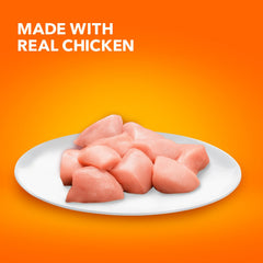 IAMS Proactive Health Senior, textura crujiente en croquetas, experiencia de masticación satisfactoria.