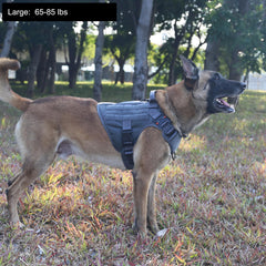 Módulos MOLLE ICEFANG y paneles ajustables para portar accesorios durante entrenamiento.