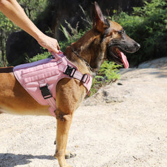 Arnés ICEFANG rosa con paneles MOLLE para accesorios durante paseos y entrenamientos