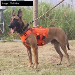 Arnés ICEFANG GN3 con MOLLE lateral para portar equipo ligero.