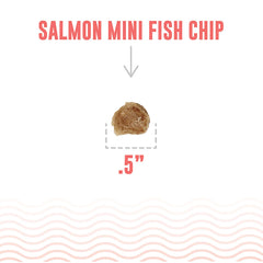Icelandic+ Mini Fish Chips Salmón, snack de una sola proteína para perros sensibles.