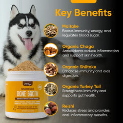 iHeartDogs piel y pelo sanos gracias al colageno y nutrientes.