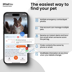 El pack ilFindYou ofrece 3 etiquetas para perros para identificación.