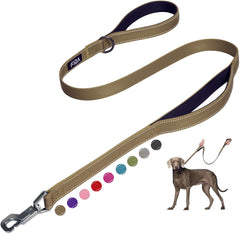 Fida 4 ft Dog Leash - Padded Double Handle, Easy Hook and Reflective