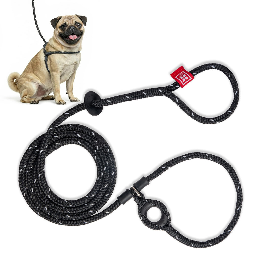 Harness Lead arnés sin tirones para paseos más controlados
