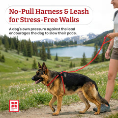 Harness Lead diseño una pieza acolchada para un ajuste suave