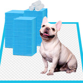 IMMCUTE almohadilla de entrenamiento para perros 22x23, ideal para uso en casa.