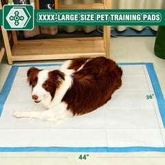 IMMCUTE almohadillas entrenamiento perro ultra absorbentes para proteger el suelo