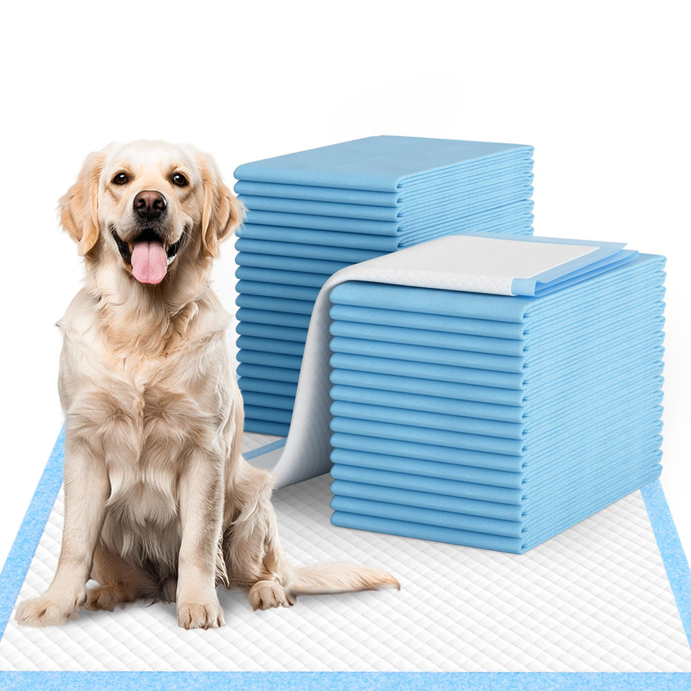 IMMCUTE pads extralargo 28x34 con absorción superior para perros.