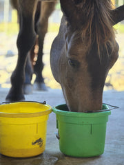 Improve Equine, bolsa con cierre hermético, ideal para viajar