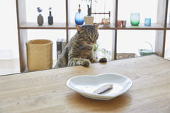 Sin granos y sin conservantes INABA Ciao, opción para gatos sensibles