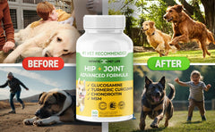 Infinite Pet Supplements, botella de masticables, facilita movilidad diaria y bienestar.
