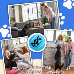 INSUM pelotas para perros talla mediana, aptas para distintas razas.