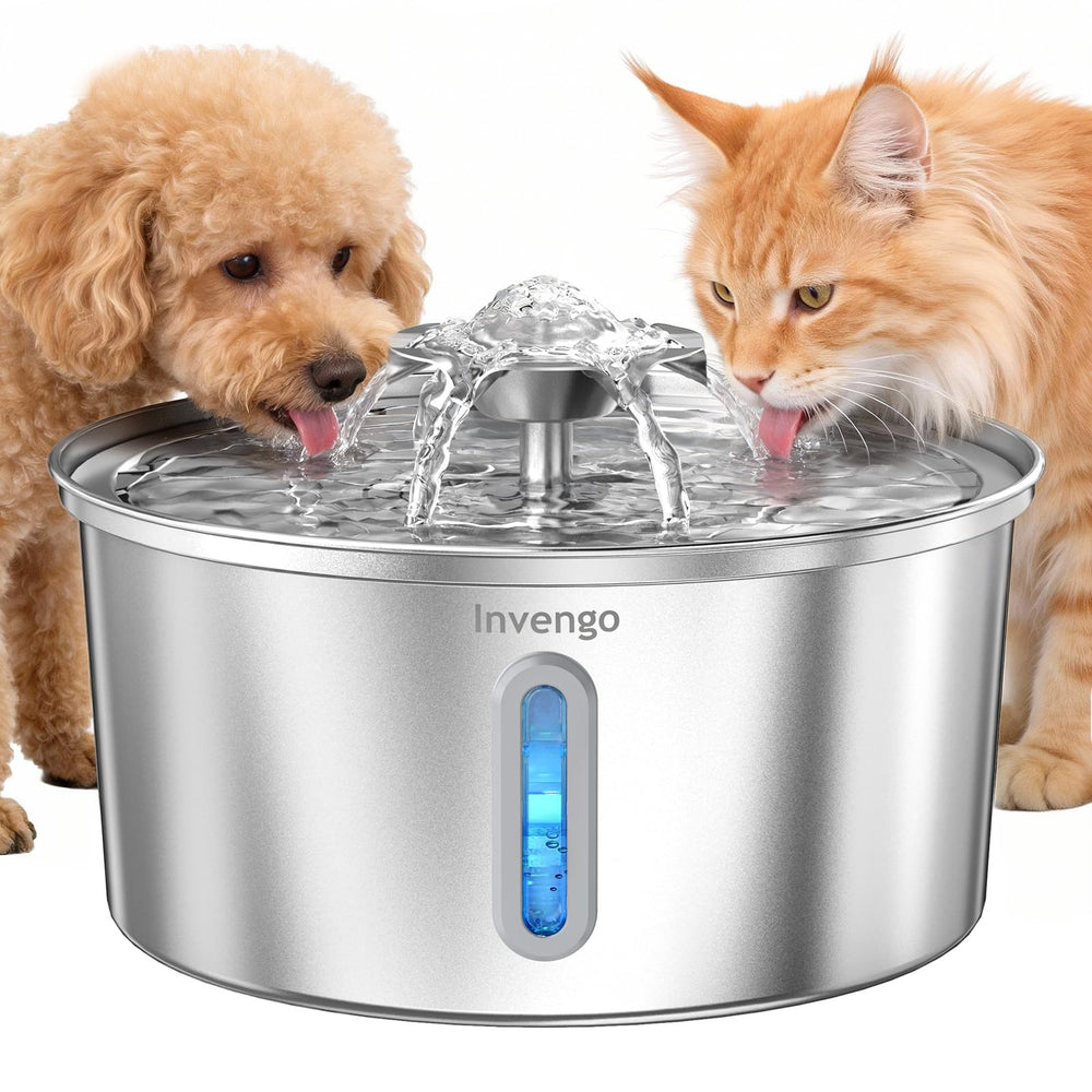 Invengo bebedero para gatos en acero inoxidable 304, superficie higiénica y duradera para agua fresca.