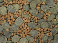 Invert Aquatics Mezcla Micro: mezcla de alimento hundido para peces de fondo.