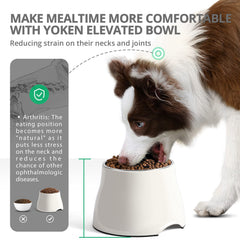iPower Yoken plato elevado con agarre ergonómico, cómodo al comer.