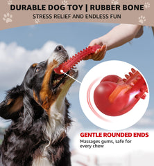 IPTPAS Hueso natural para perros: ayuda a mantener dientes limpios durante juego.
