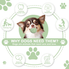 iYoway Juguetes Interactivos para perros pequeños, ideal para juego al aire libre.