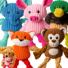 Jalousie peluche para perros con pack de juguetes para juego diario