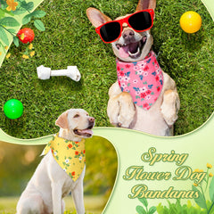 Jeere bandanas para perros: diseños brillantes para fotos y fiestas