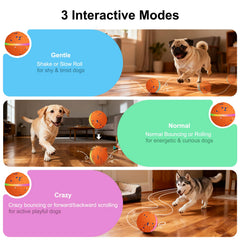 Bola JEISOTHB para perros con movimiento automático para activar la actividad física.