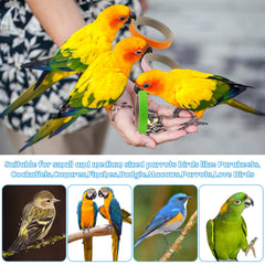 Jenaai: enriquecimiento para aves, fomenta forrajeo y distracción saludable.