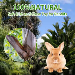 Jiaxix cuenco resistente de hojas naturales para mordisqueo diario de mascotas.