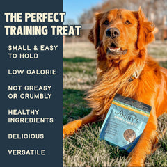 Jiminy's Chewy Training Treats, morceaux-petits faciles à croquer pendant l'entraînement.