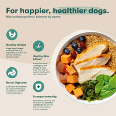 Jinx Premium Dry Dog Food croquetas en tazón con pollo para músculos saludables