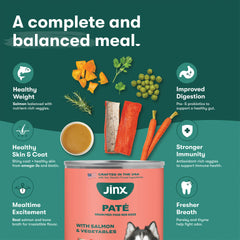 Textura suave del paté de salmón de Jinx para perros exigentes.