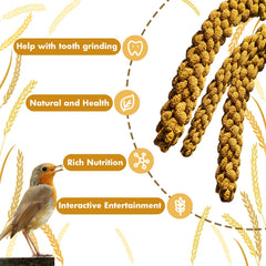 Jmxus mijo para aves proteína alta, avala variedad en la dieta.