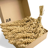 Jmxus mijo para aves en envase de 12-6 pulgadas para alimentar y premiar.