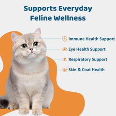 L-Lisina para gatos en pasta con zinc, apoyo a la vitalidad felina.