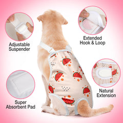 Pañales Jollywoods de doble capa con absorción para máxima protección.